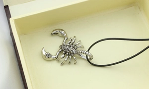 Detailed close-up of a silver metal scorpion pendant necklace in a yellow gift box
