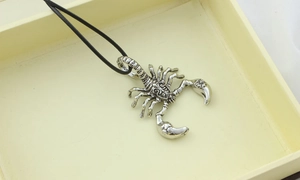 Detailed top view of a silver scorpion pendant with black cord on a gift box