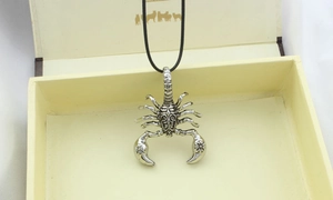 Macro shot of silver scorpion pendant with black cord in a beige jewelry gift box