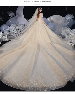 Detail of starry bridal gown showing long train and sparkling champagne fabric
