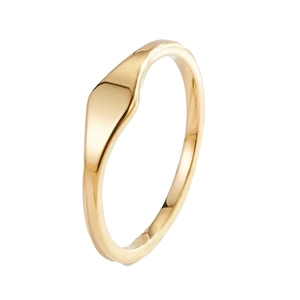Minimalist gold-plated irregular flat signet ring in polished titanium steel for women