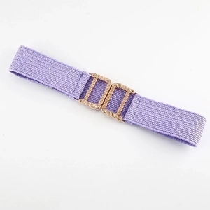 Purple elastic braided belt with gold metal interlocking buckle for dresses and tunics