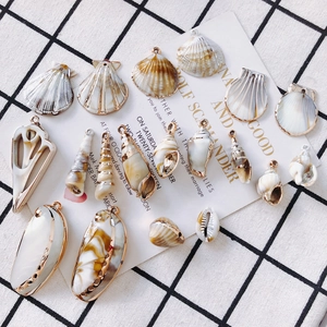Macro shot of assorted natural conch shells with gold and silver plated metal edges