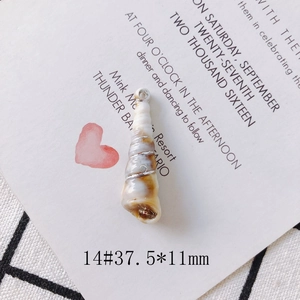 Detailed macro view of spiral seashell pendant with gold edge and size specs