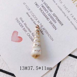 Macro detail of spiral seashell pendant with gold trim on decorative background card