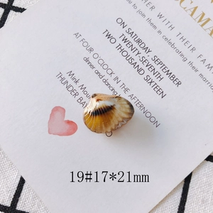 Detail of a 17x21mm vintage gold-edged conch shell charm for DIY earring jewelry making