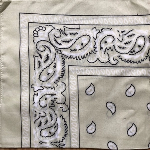 Close-up of light green paisley bandana fabric showing detailed stitching and texture