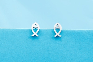 Detailed macro view of minimalist silver fish-shaped stud earrings in a modern polished finish