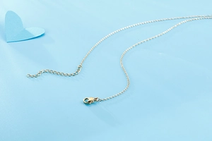 Detail of the golden titanium steel chain with a lobster clasp and adjustable extension chain