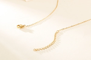 Macro shot of gold stainless steel necklace lobster clasp and extension chain detail