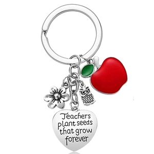 Porte-Clés Appréciation Enseignant Acier Inoxydable Pendentif Cœur Charmes Pomme Hibou Fleur Cadeau Mentor