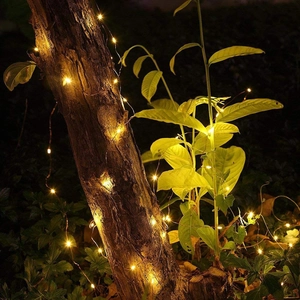 Close-up of warm white LED copper wire fairy lights wrapped around outdoor garden trees