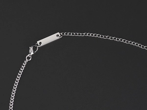 Detalle del collar de cápsula en acero plateado con cierre de langosta y placa grabable
