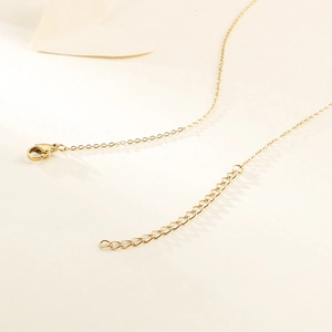 Golden stainless steel seahorse jewelry set featuring a lobster clasp and extension chain