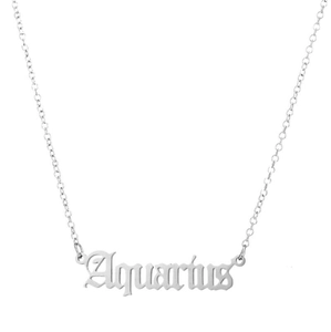 Silver stainless steel Aquarius zodiac pendant necklace with delicate O-chain for women