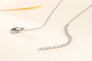 Gros plan du collier en acier titane argenté avec fermoir mousqueton et chaîne d'extension