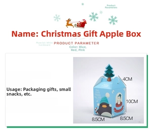 Détail des boîtes cadeaux de Noël avec illustrations de pingouin et bonhomme de neige