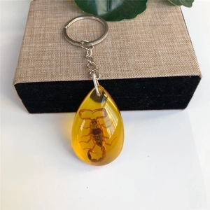 Detailed view of a real scorpion specimen preserved in teardrop-shaped amber keychain