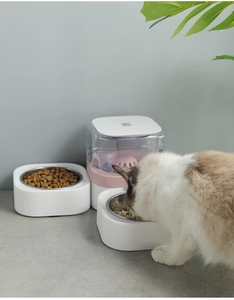 Detail van automatische waterdispenser met dubbele roestvrijstalen bakjes voor huisdieren