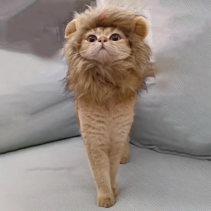 Funny golden lion mane wig for cats and small dogs, fluffy pet costume with small ears