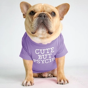 Detail of purple cotton pet T-shirt with Cute But Psycho text on a French Bulldog