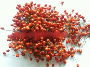 Detail von lebhaften roten Kunstbeeren mit grünen Drahtstielen für Weihnachts-DIY-Deko
