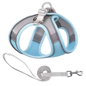 Reflective blue mesh dog harness and leash set with adjustable buckles on white background