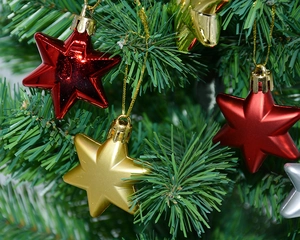 Three-dimensional star ornaments in red, gold and silver hanging on Christmas tree branch