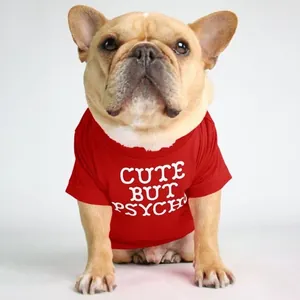 Close-up of a red dog t-shirt with Cute But Psycho slogan worn by a French Bulldog