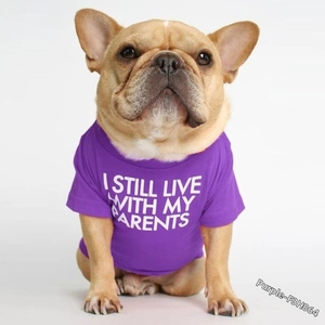 Detail of purple cotton pet T-shirt with 'I STILL LIVE WITH MY PARENTS' slogan