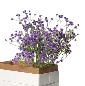 Deep purple artificial babys breath bouquet in a gift box on a white background