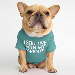 Green cotton French Bulldog T-shirt with white I Still Live With My Parents slogan print