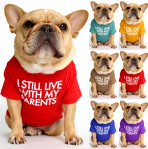 Dog T-shirt showing six colors with I Still Live With My Parents slogan print