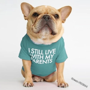 Close-up of blue pet t-shirt with I Still Live With My Parents funny slogan print
