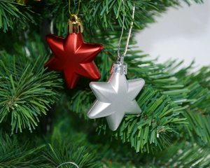 Detail of 4.5cm red and silver star ornaments hanging on a green Christmas tree branch