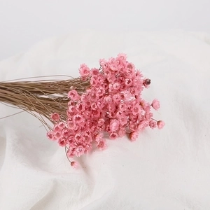 Dried small pink star flowers bouquet on white linen background for DIY decor