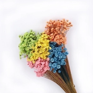 Colorful dried star flower bouquet with vibrant petals and natural twine tying