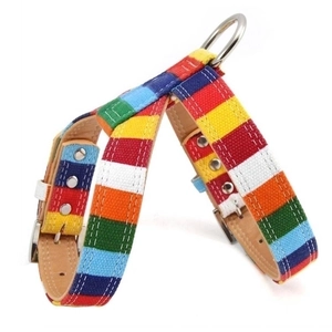Rainbow striped canvas dog harness with metal D-ring for secure outdoor pet walking