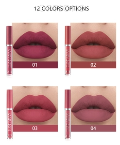 Muestras detalladas y aplicaciones labiales de brillo de labios mate, tonos 01-04