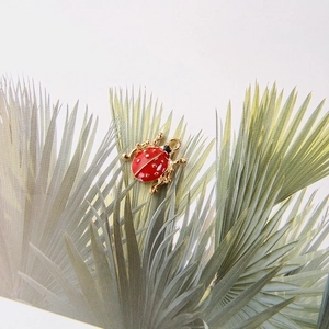 Macro view of a red enamel beetle pendant with golden metal edges on a green leaf