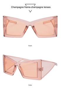 Vue détaillée de lunettes papillon géométriques champagne avec branches à structure évidée