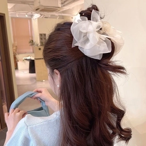 Elegant white mesh flower hair claw clip for women's summer hairstyles shown on model