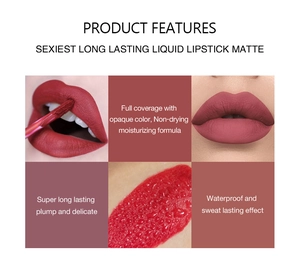 Características del labial líquido mate impermeable de larga duración y alta cobertura