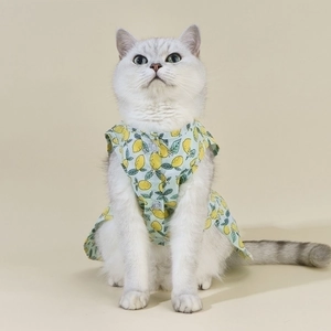 Light blue pet shirt with lemon patterns on a cat model with warm beige background