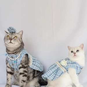 Blue plaid pet dress with pearls and lace trim shown on two cats on white background