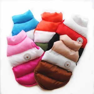 Gilet invernale imbottito per cani in vari colori con ricamo Born To Be Loved