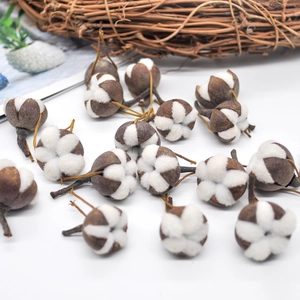 Natural dried cotton bolls with white fibers for DIY Christmas flower decor