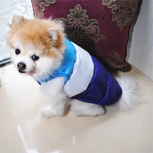 Dettaglio del gilet invernale antivento per cani con design color-block e bottoni