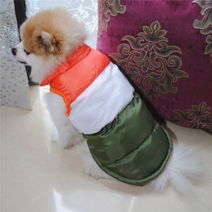 Dettaglio macro del gilet imbottito per cani con fibbia frontale indossato da un Pomerania