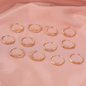 Set of 12 adjustable zodiac name rings in rose gold finish for women on pink velvet